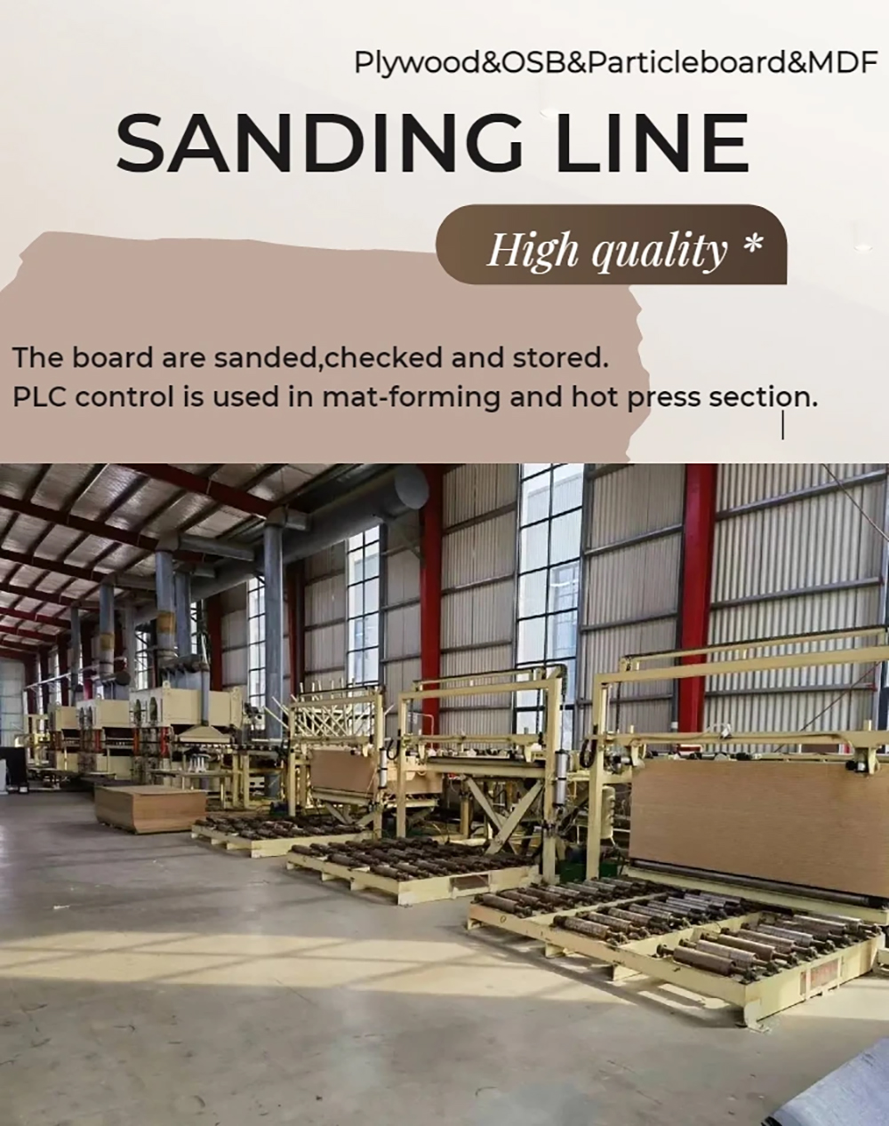 Sanding Machine/Sanding Line(图1)