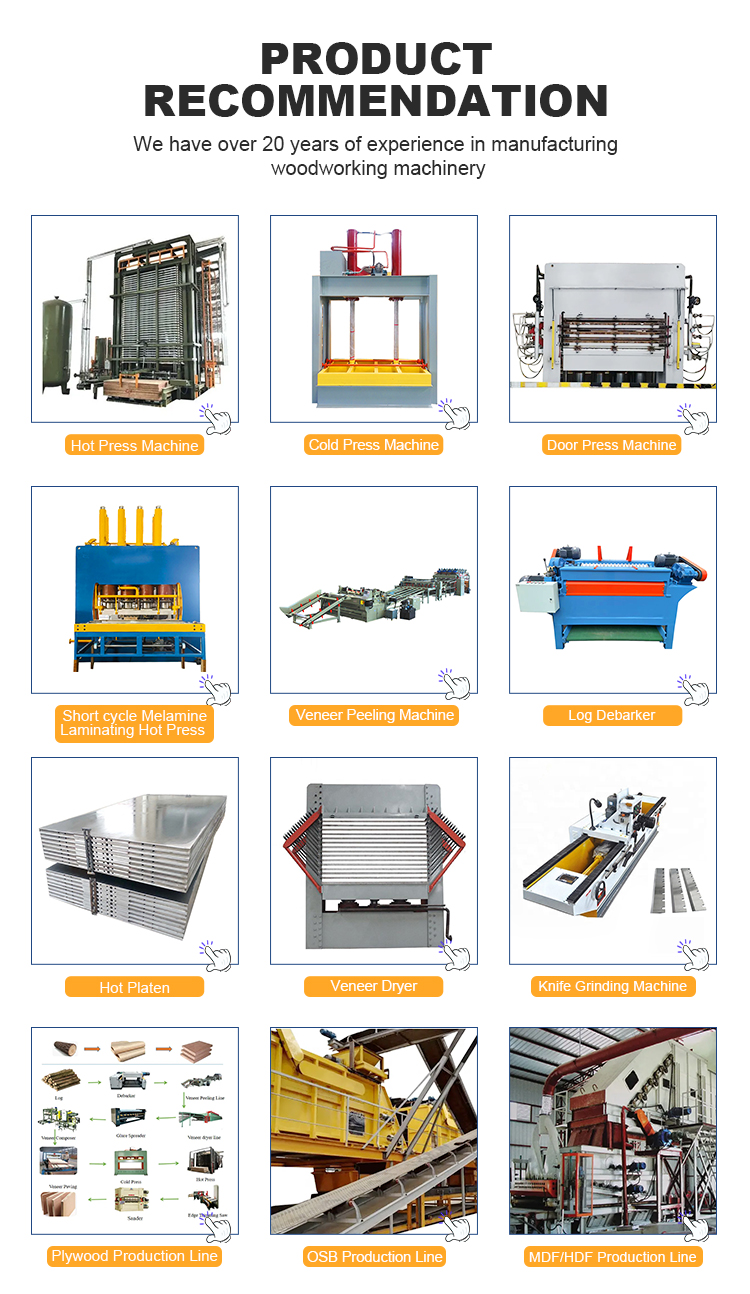 Automatic Full Set Plywood Production Line For Plywood Making Machine(图5)